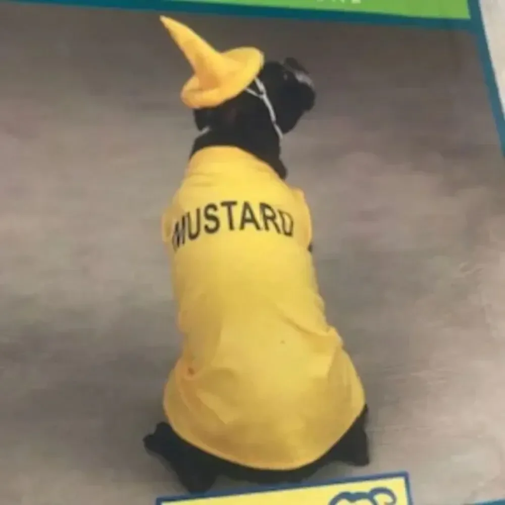 Size: Extra Small Doggie Halloween Costume . 